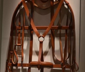 欧博网址 -佃愆礓(蟠螭虬枝是什么意思)